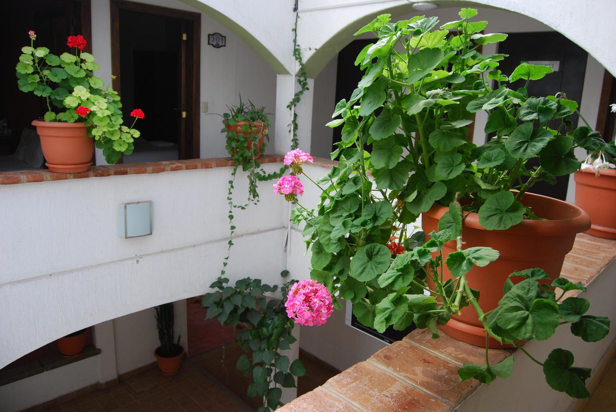 Jardines De Luz San Cristobal de las Casas Exterior foto